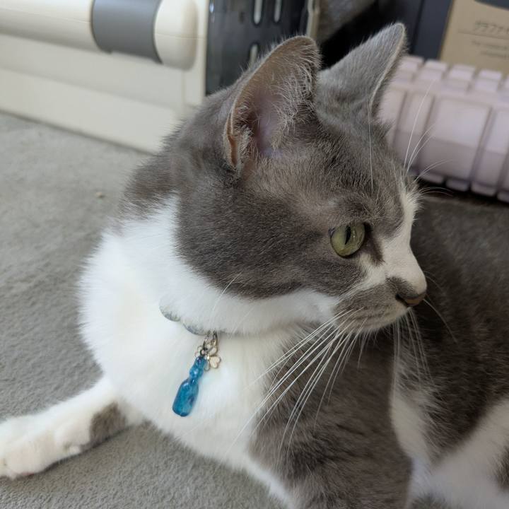 66be31b8 507c 4eda abd3 d7cc5e9d24ea 1757116558289