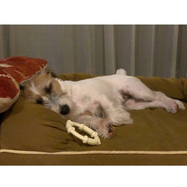 66be4904 0ccf 4266 b078 72af58149617 1599691700997