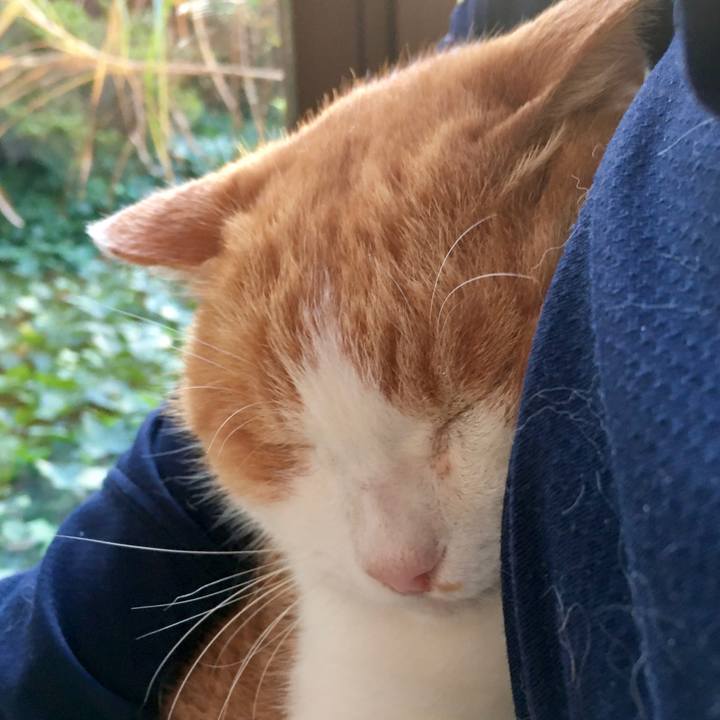 66be73ba 7ca1 4765 b33c 029a1c14afd2 1606256837653