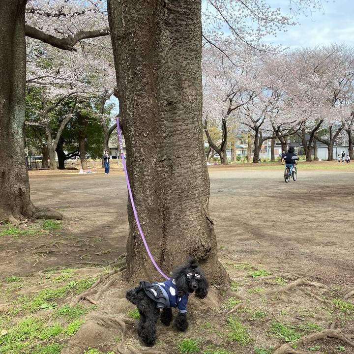 66be7d9c 5e48 4f85 9621 2d3f771f5d94 1679373117540