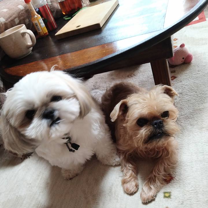 66bea7ca f3bd 472a b722 1a5638058466 1641608574061