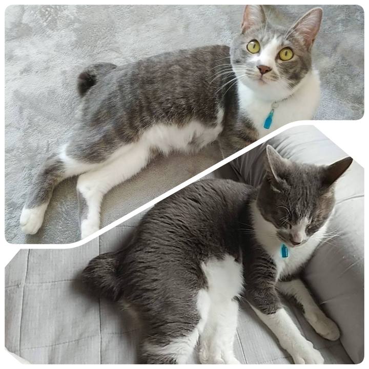 66bec093 8934 44c6 bd68 9fa4869e6f09 1621426405620