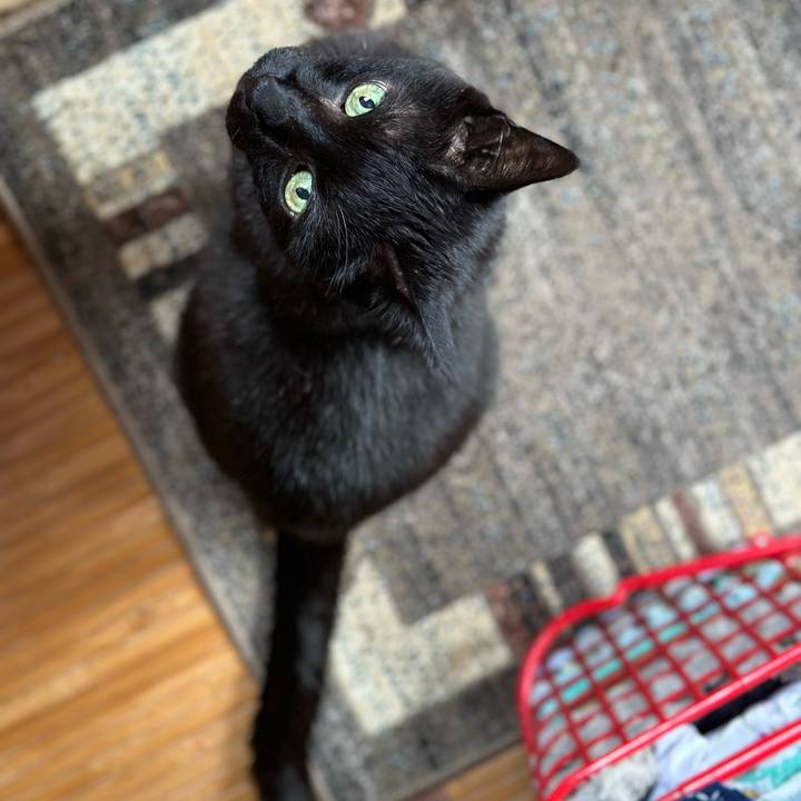 66bed3ed 1651 434e b2f5 da1d9b00a10e 1687309781414