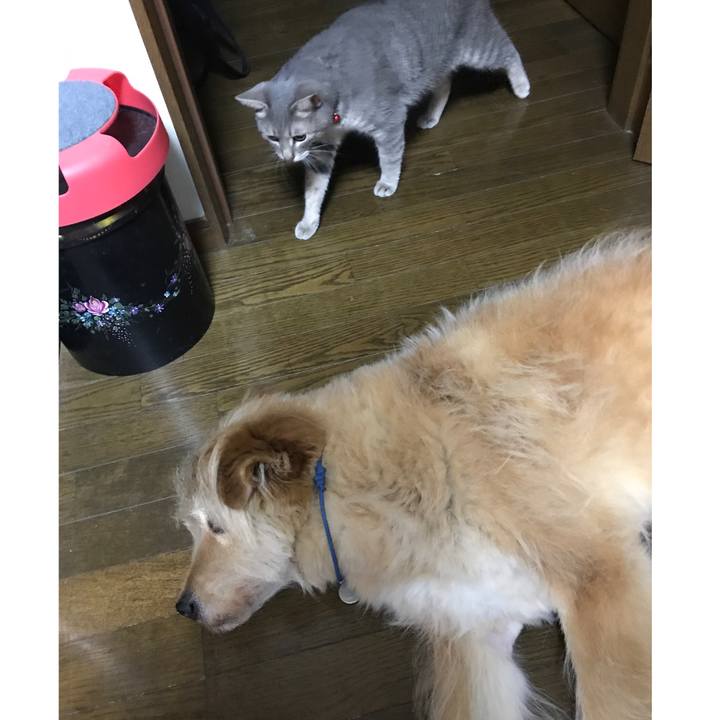 66bf0e1f 910e 4317 8703 8335681f993c 1564239030594