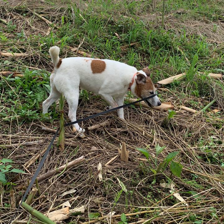 66bf0e89 7e79 44b8 a511 7f556de551ea 1594554732339