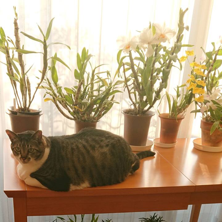 66bf0ec0 5ee1 4b19 a9fa d5ff440f9e32 1547591089428