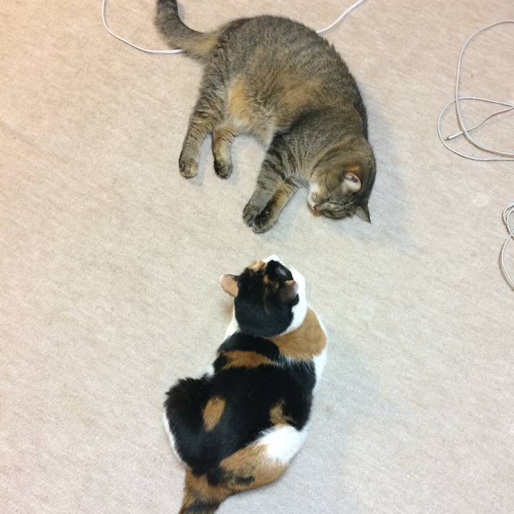 66bf1318 dbd1 4aab 8c52 bccf174dd48e 1570975094809