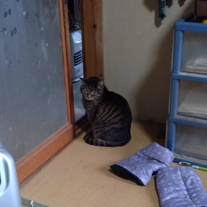 66bf1a00 5cf7 455e 8a07 97afc9ee201c 1742420976752