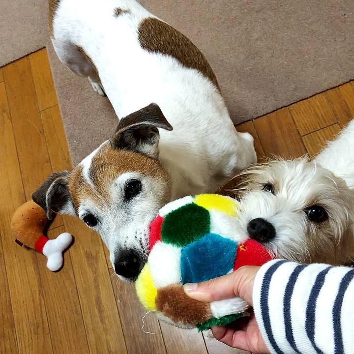 66bf2364 cf63 44d1 96c7 b32de341795f 1539868311294