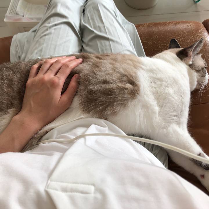 66bf3601 ed64 41ce 9e3b 5bc1a66ce548 1570419485172