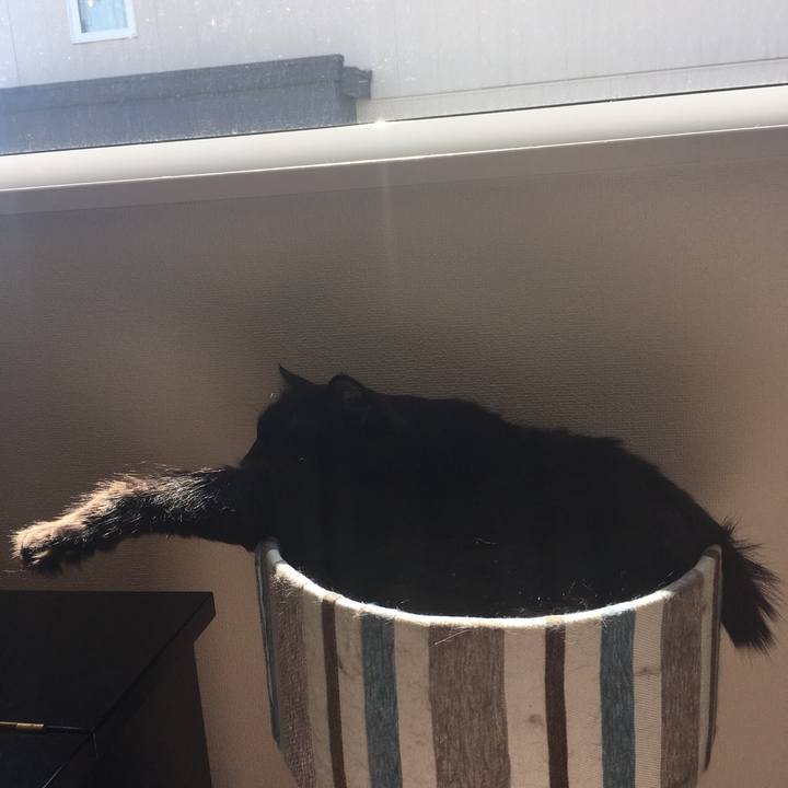 66bf4e36 76af 4627 ad61 d1754b2200d3 1527118751118