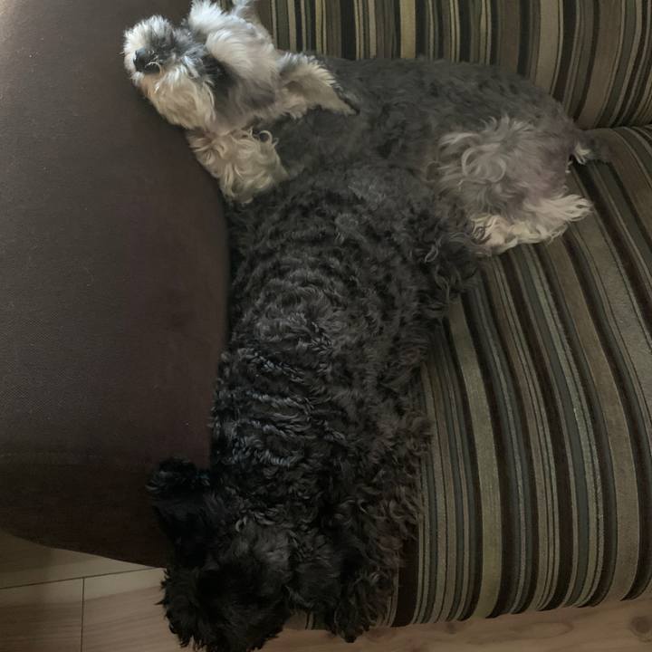 66bf5975 d021 4dca bab0 bc15add97a73 1626493632334