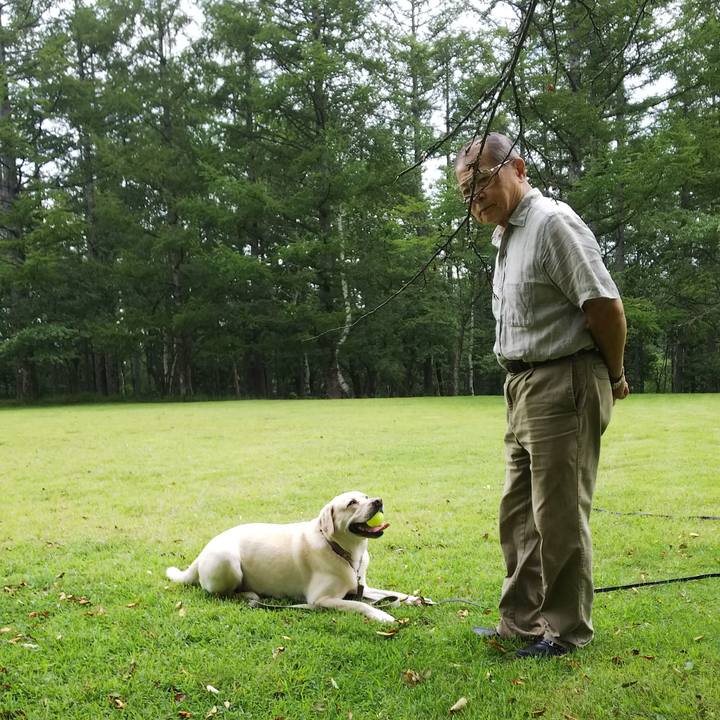 66bf81d7 03b6 4e87 96f1 b4261721d5c6 1566099002835