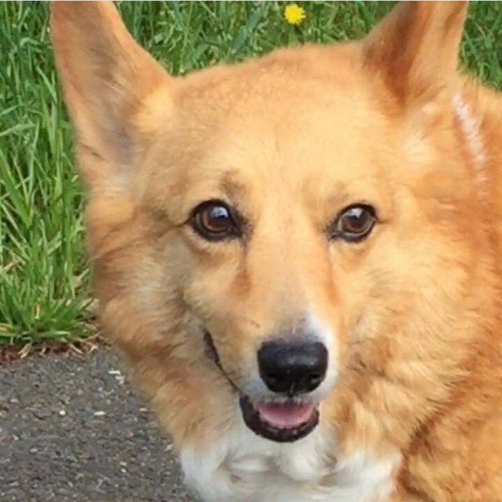 66bfa48c 6d11 4b87 a639 e670f988d0d5 1649559015161