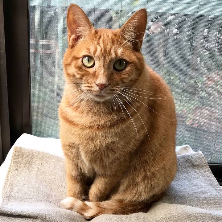 66bfb856 ebfd 4ea3 a86f ff8effa1fe14 1510205273728