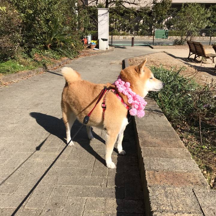 66bfffc8 324f 45f6 854b 4271f6373c0b 1547699205754