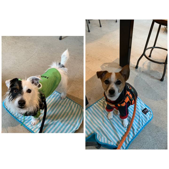 66c01321 6bcc 4c34 b086 26834d1740de 1584160362840