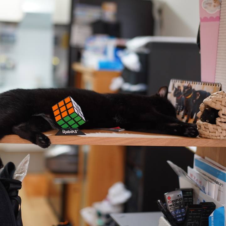 66c0555e eecc 4bc7 b990 dedb1d529b47 1569989269022