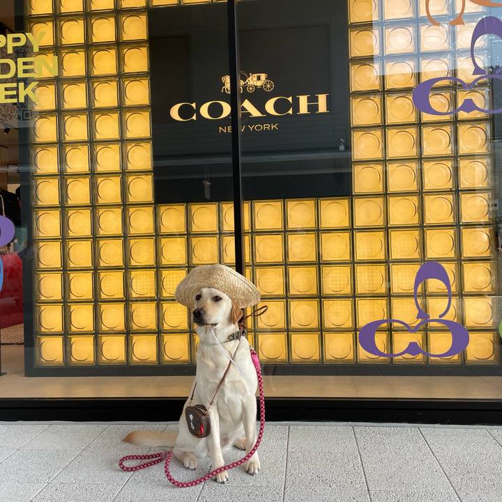 66c0e66a a7c8 442a b3c1 3b72e4979bc2 1651051737282