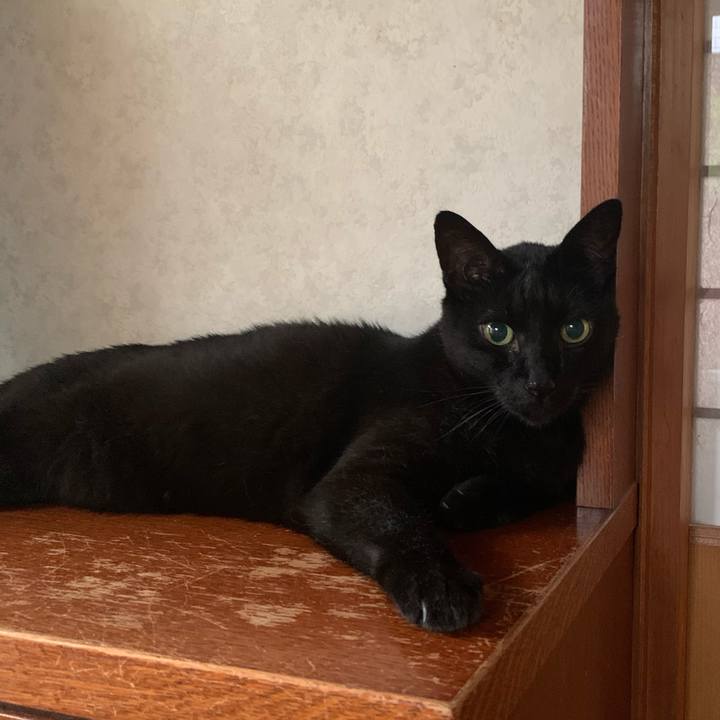 66c0f229 0428 43f1 b0fa 6d50896a404a 1595639749893