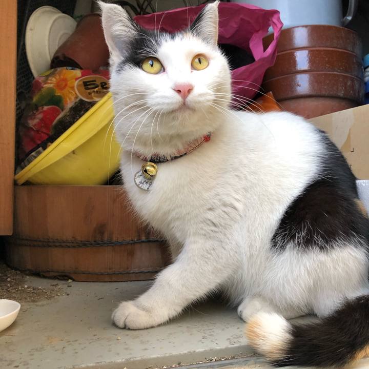 66c0fb7a 5053 4d7d 8a75 40a89ca05675 1606613971480