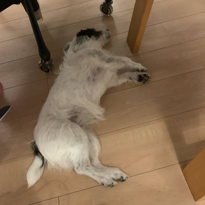 66c1150b 24c5 470c 85af 141ccfe0070f 1718194419473