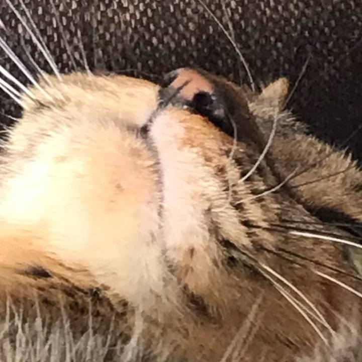 66c1355c 3882 45f4 b65c b9ca5422b33b 1518842253947