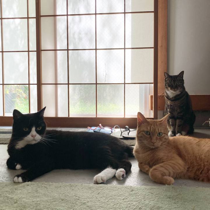 66c13924 41ee 461a 959d 599c0980c720 1598745809305