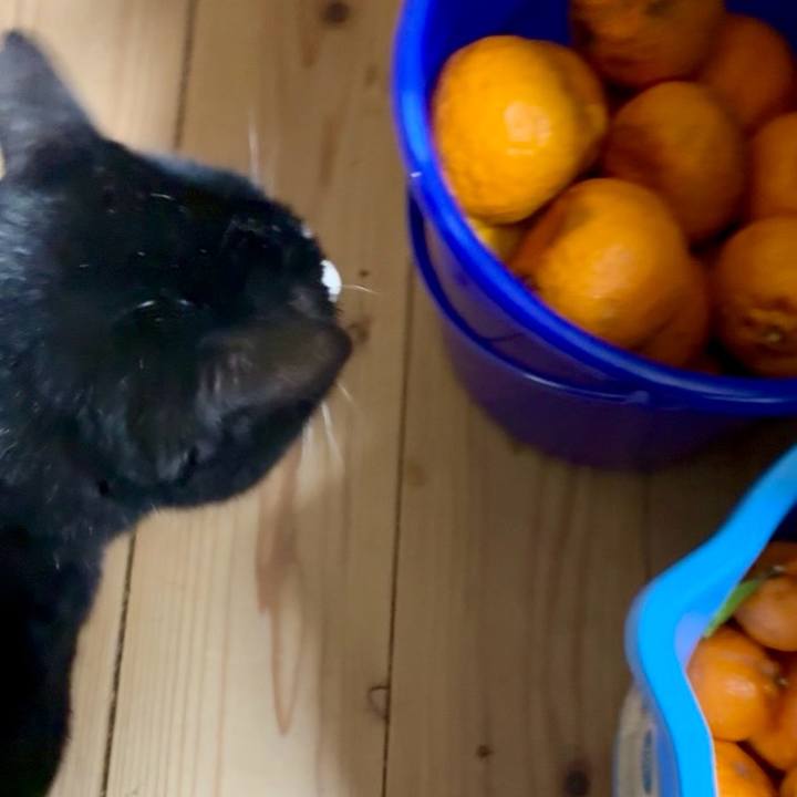 66c15410 69ee 485a 9ce6 aee58bedb962 1775444952490