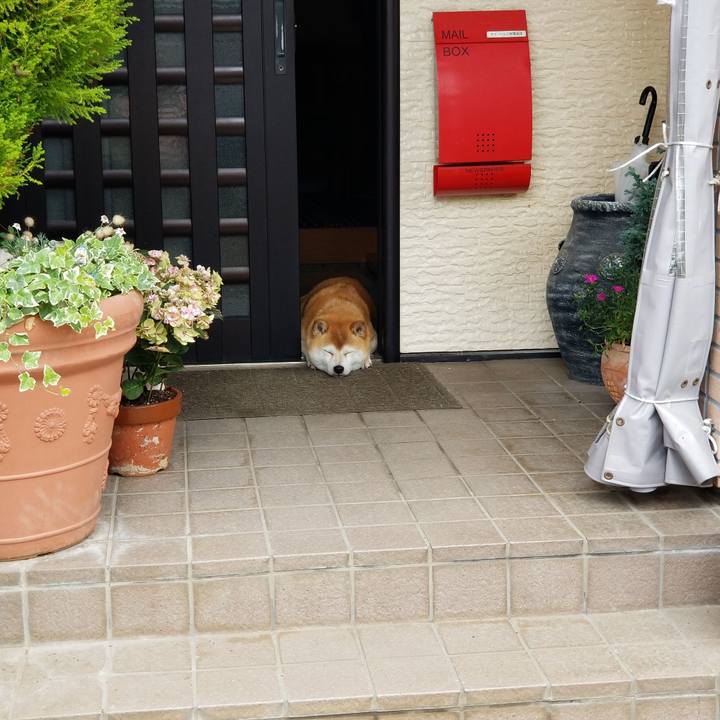 66c15921 87b8 4bd5 bc14 fbf429b81159 1623639013215