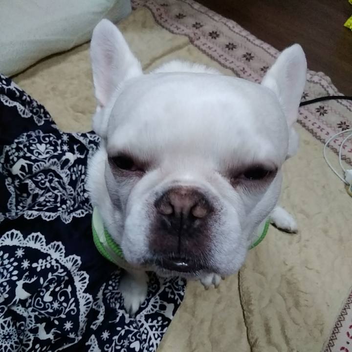 66c1a8e3 55c9 4991 a221 5710f970adc5 1583322477221