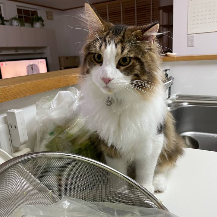 66c1c664 8456 4f4d ba65 65d6e7cca5f8 1641763584287