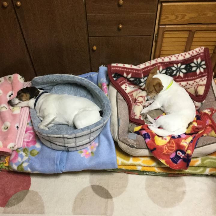 66c1d2c6 d04d 4097 b45e c13c99fa9529 1553342372960