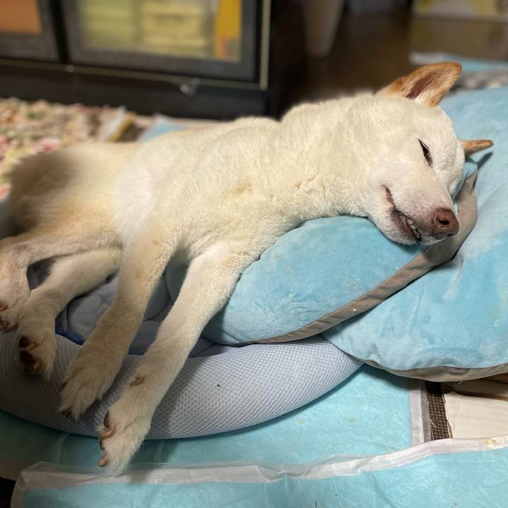 66c20926 24b4 4bd4 9395 5d228676fd0f 1656763483176