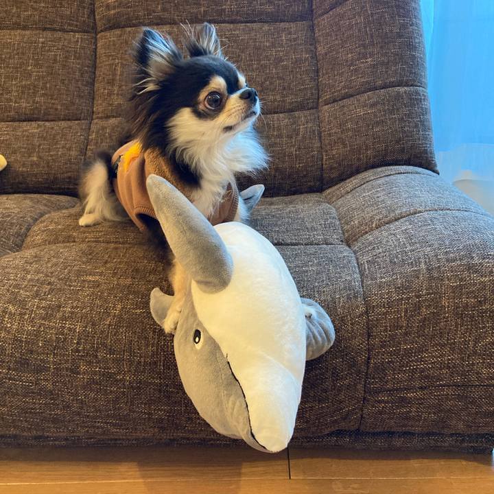 66c20db3 8172 4d3c b19e 4154a62d8f83 1706343793873