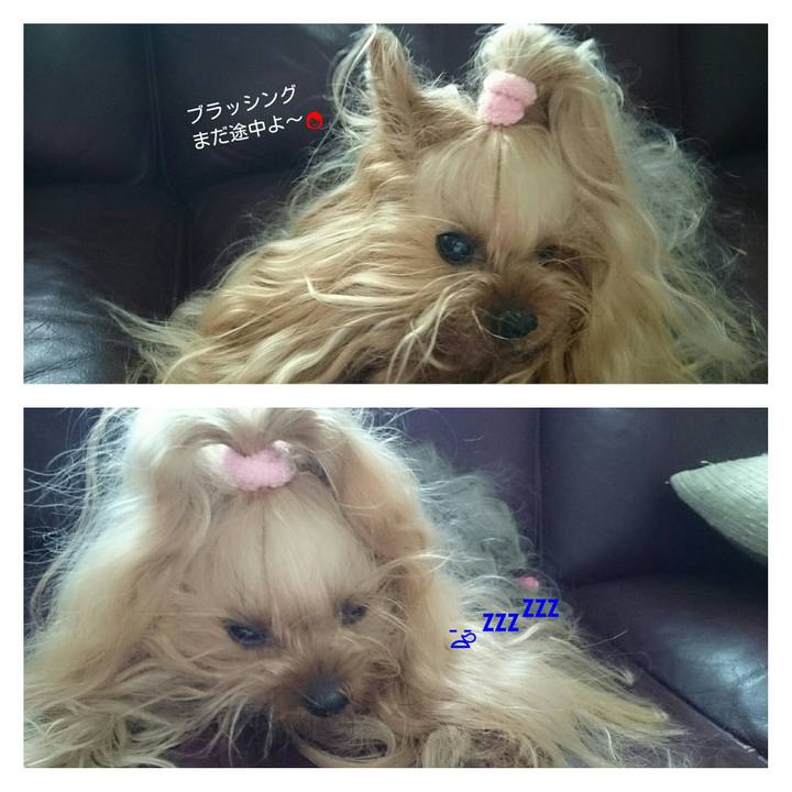 66c232f9 31db 4dab 8b8f 9eed9266b5dc 1523166795789