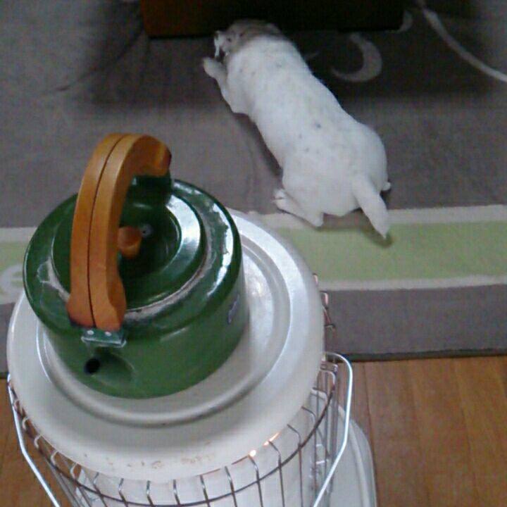 66c23908 fc88 4df0 89cf db278713313b 1511398107104