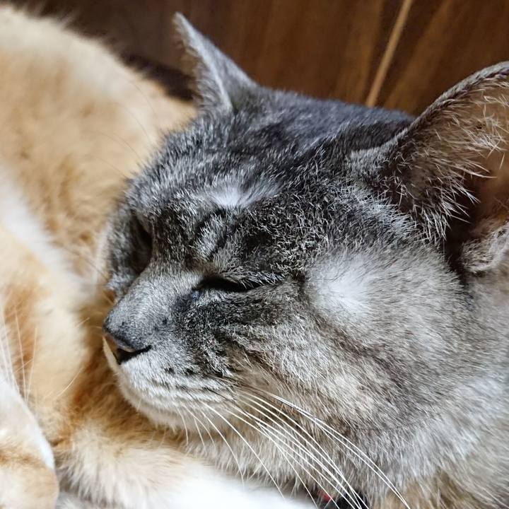 66c247e5 9c89 4899 8b16 f2d2b91e691d 1584713233983