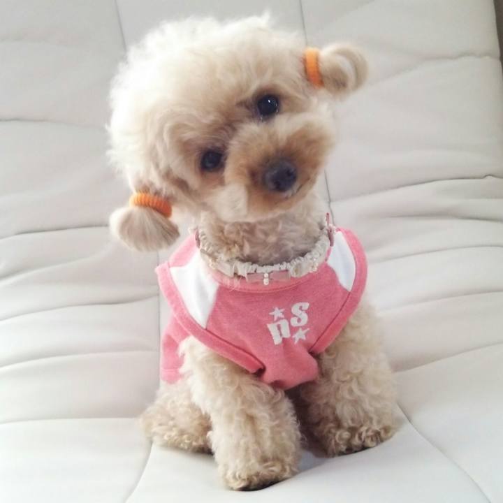 66c24ff9 2c8d 4259 8c00 908d5e5dd3ef 1527859645551