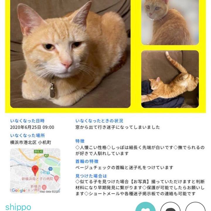 66c2be78 4ec0 4970 9c05 7c47840a5285 1595598126581