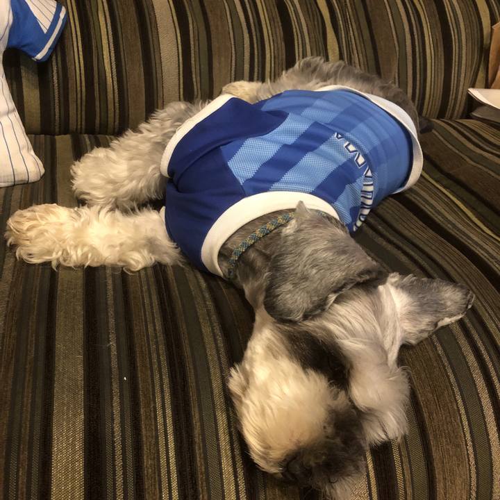 66c2ec7e 7fc8 4277 bc4d bdb5461ba804 1563621906788