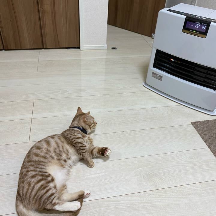 66c2f165 5421 4177 8302 d736f6741c7f 1608198416446