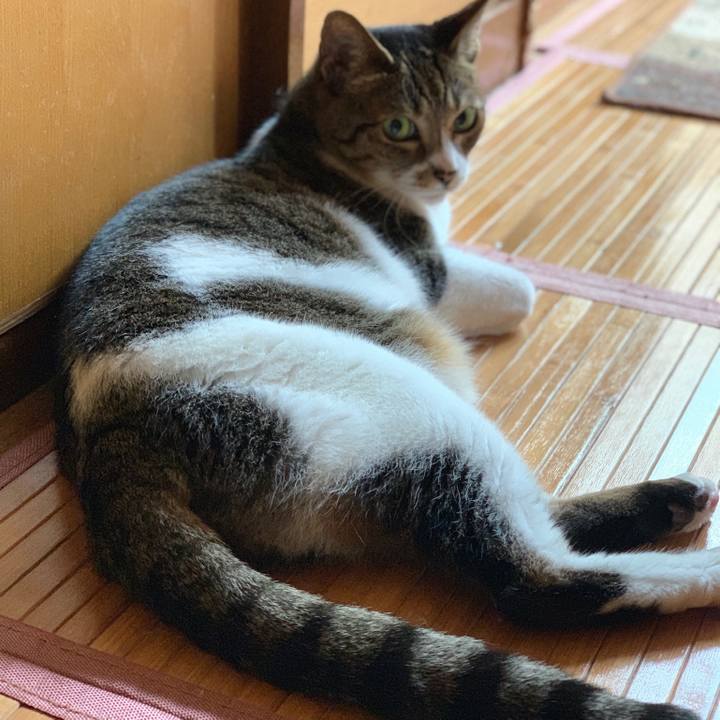 66c2fa50 783b 4e7f 842c a5d26e28275d 1567387708778