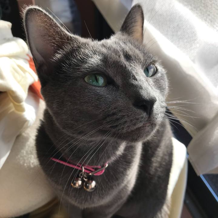 66c33e8a dd30 41b2 be5d 8f6905ff58d8 1546560549675