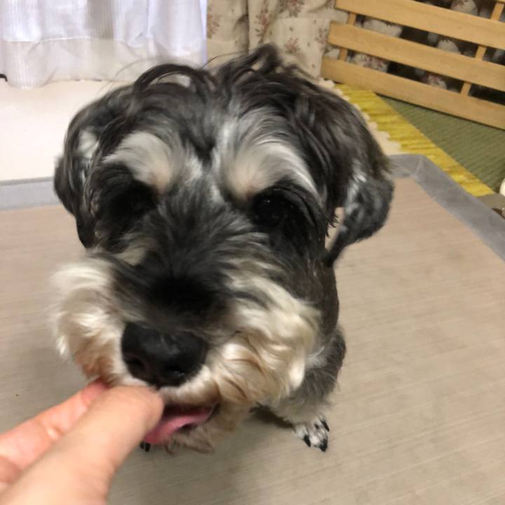 66c3443e f7f0 4425 828d 491d18bb174c 1631953827196