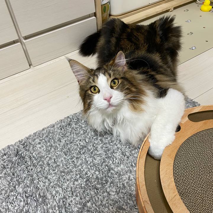 66c355f7 a949 4a99 b37d 2d347f3f827c 1643490709141