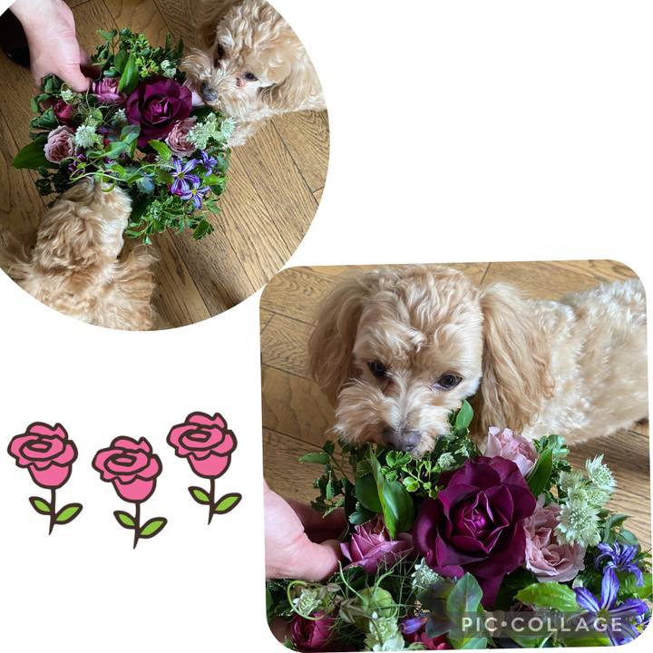 66c356d2 073c 4c49 b91d 2b3dd65f62fe 1650706339215