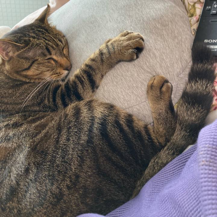 66c358ab ed61 428b 967e 1b8bfd4a601e 1624331998209