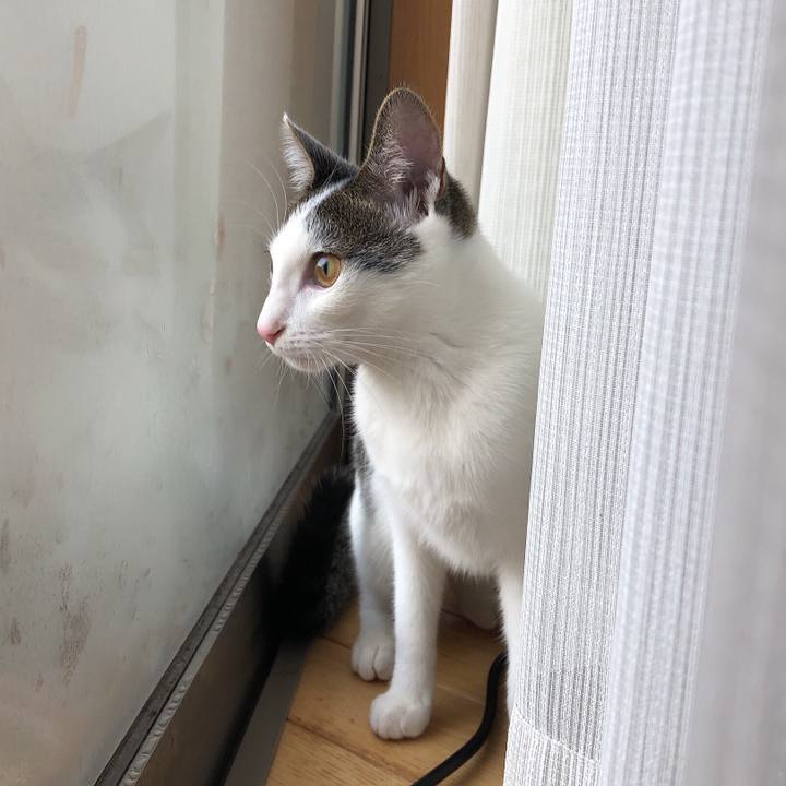 66c384a7 daa0 499d 976d b87c7fef461a 1576798967374