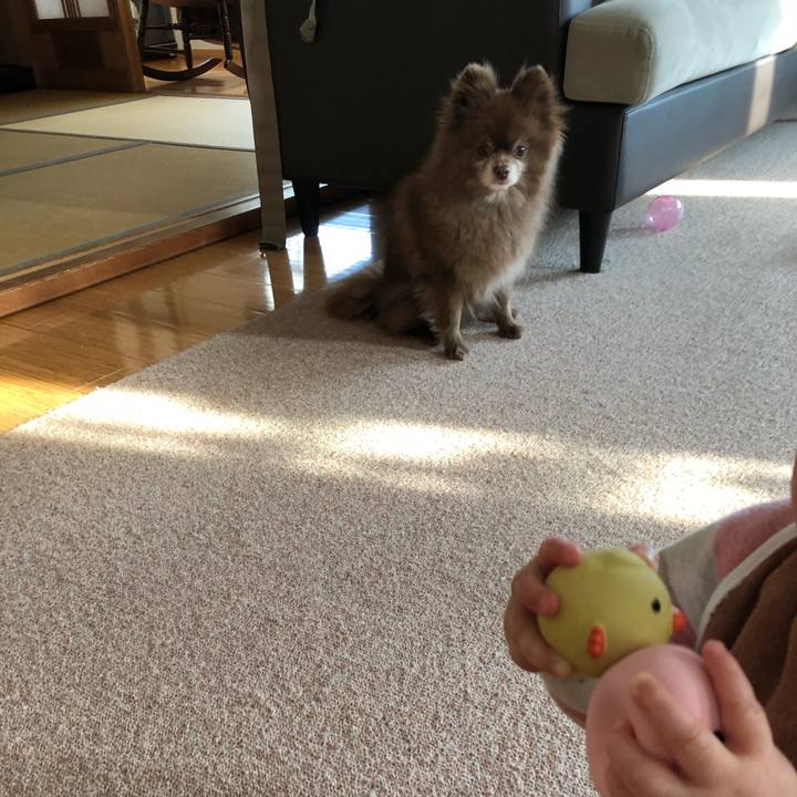 66c395f0 2ac7 43fc 91a2 c70a48dc746e 1582628286760